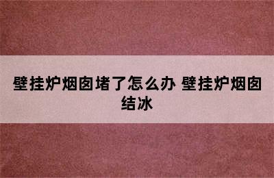 壁挂炉烟囱堵了怎么办 壁挂炉烟囱结冰